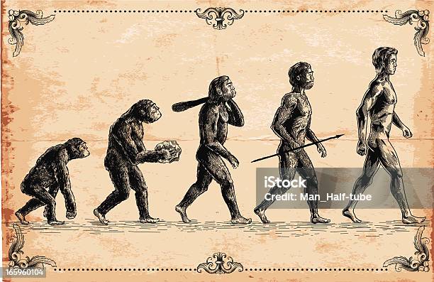 Ilustración de Vector De Concepto De Evolución Humana y más Vectores Libres de Derechos de Evolución - Evolución, Progreso - Conceptos, Charles Darwin - Naturalista