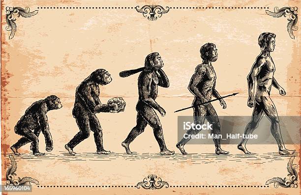 Vector Of Human Evolution Concept Stock Illustration - Download Image Now - Evolution, Progress, Charles Darwin - Naturalist