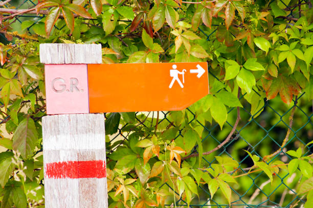 istock Footpath sign post,  ivy leaves background. 1659601250