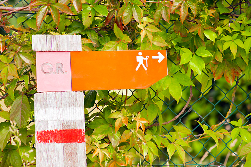Close-up view of footpath sign post, ivy leaves background, hiking pole with hiking symbol figurine and arrow. Copy space available on the right.