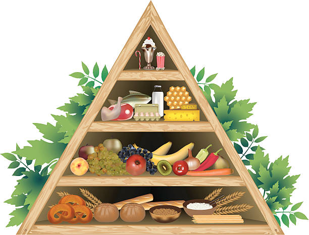 ilustraciones, imágenes clip art, dibujos animados e iconos de stock de pirámide de comida dieta - food pyramid food healthy eating spaghetti