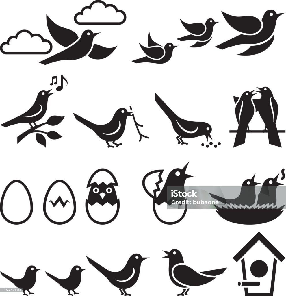 Birds black and white royalty free vector icon set Birds black and white icon set Bird stock vector