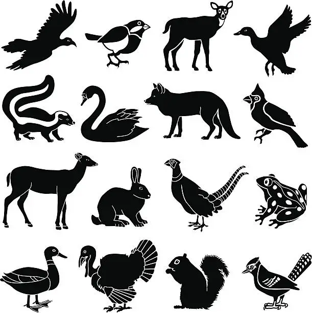 Vector illustration of North American animals