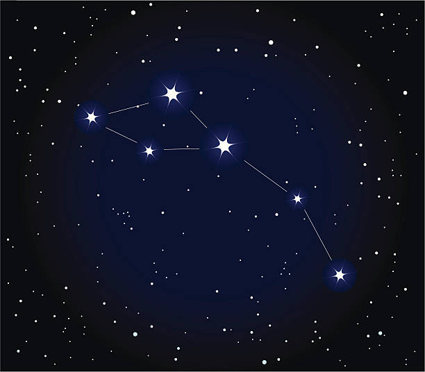 Delphinus Constellation Constellation on the starry sky. Delphinus. constellation delphinus stock illustrations