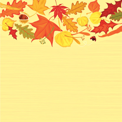 Red and golden Autumn leaves with ladybugs on yellow background. Vector. EPS 8.