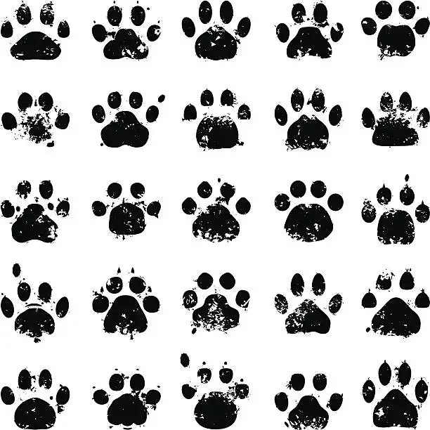 Vector illustration of Cat Paw Prints