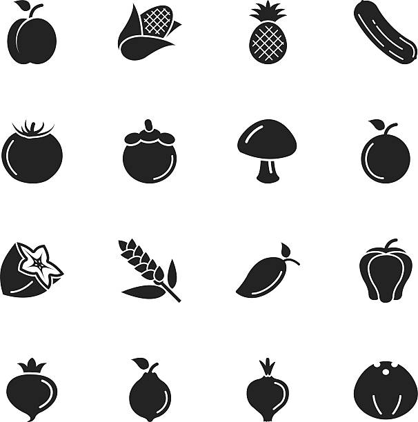 Fruit and Vegetable Silhouette Icons | Set 2 Fruit and Vegetable Silhouette Vector File Icons Set 2 chrysophyllum cainito stock illustrations