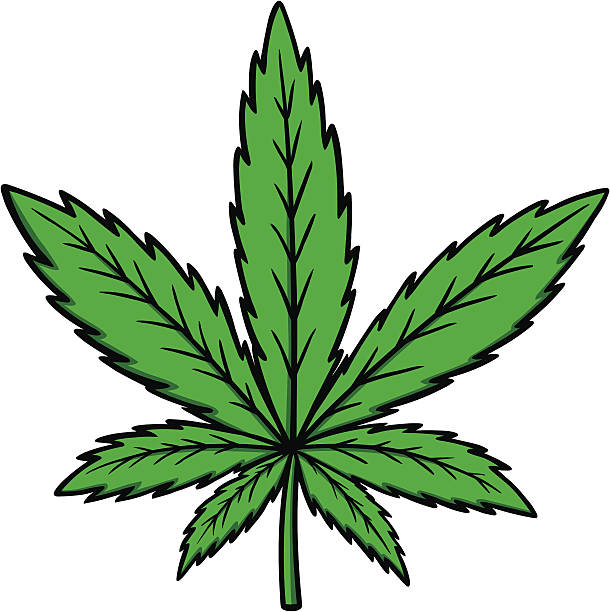 Marijuana Marijuana weed leaf stock illustrations