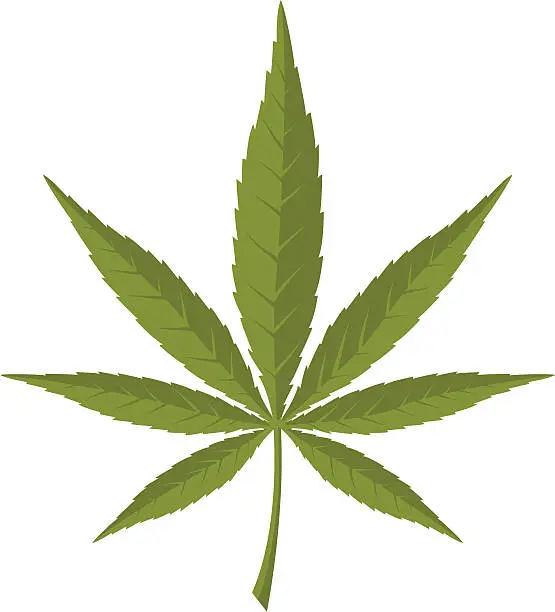 Vector illustration of marijuana leaf