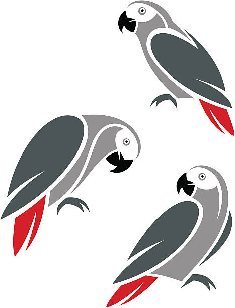 灰色パロット - african grey parrot点のイラスト素材／クリップアート素材／マンガ素材／アイコン素材