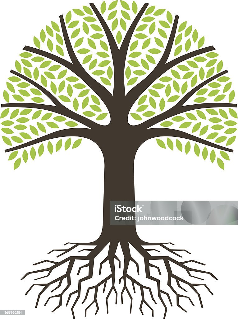 Simple round tree with roots A simple graphic tree and roots. Branch - Plant Part stock vector