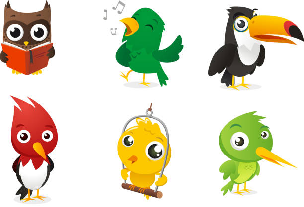 Six Cartoon full color birds set Six Cartoon full color birds set, with owl, parrot, toucan and woodpecker vector illustration. toucan white background stock illustrations