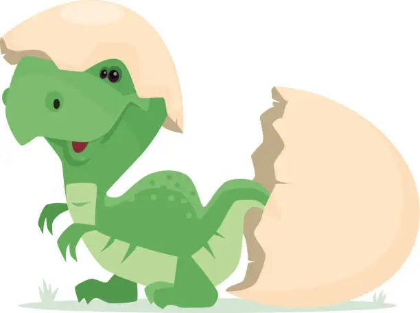 Vector illustration of new born dinosaur