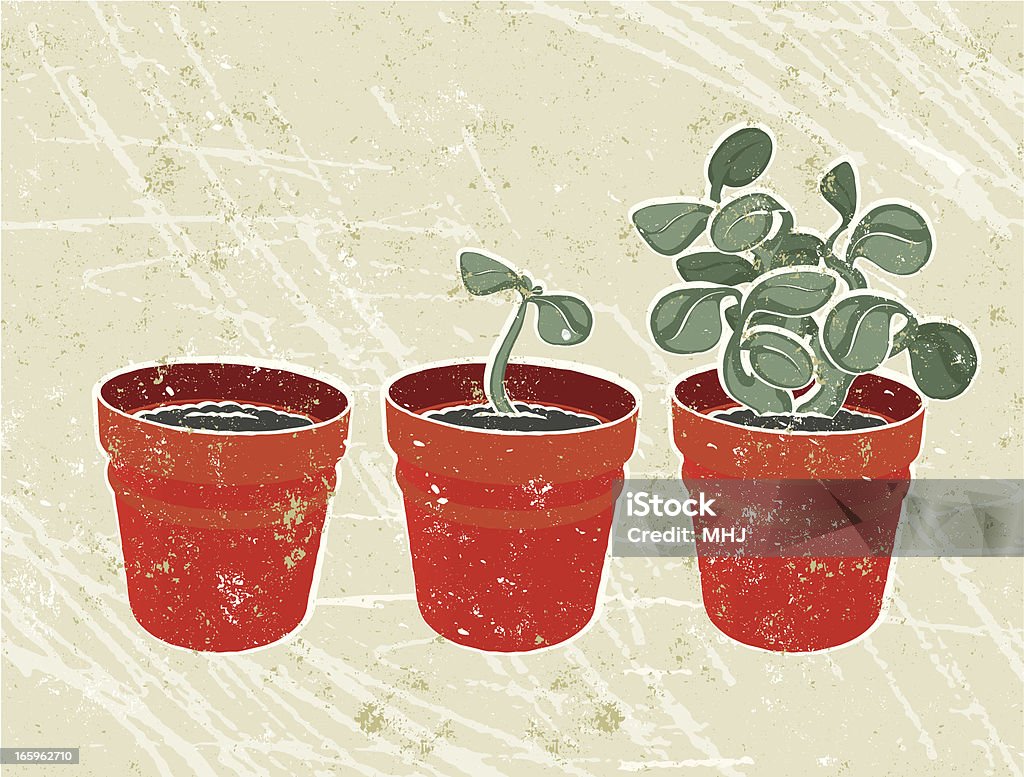 Drei Pflanze Töpfen-Wachstum - Lizenzfrei Setzling Vektorgrafik
