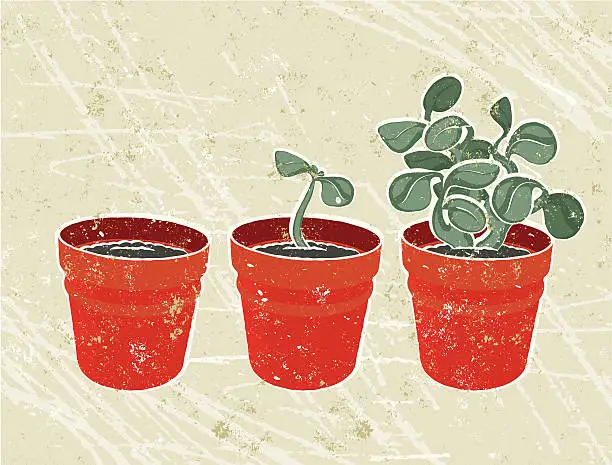 Vector illustration of Three plant Pots - growth
