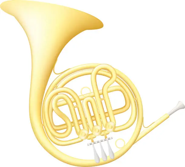 Vector illustration of French Horn