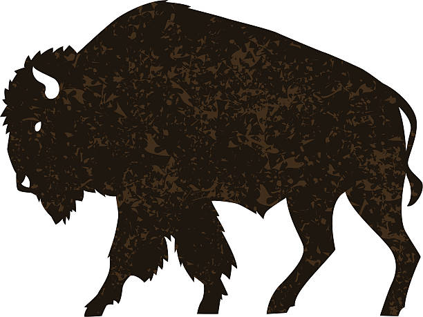 buffalo illustration of a buffalo with distress pattern african buffalo stock illustrations