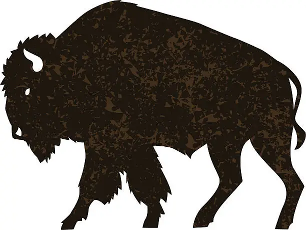 Vector illustration of buffalo