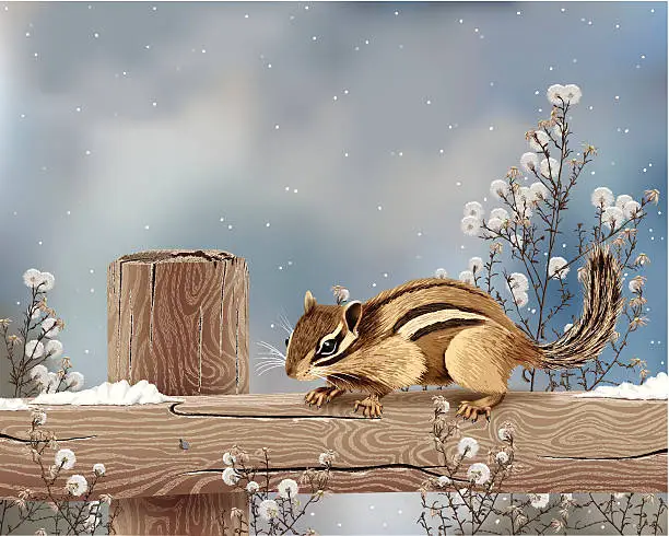 Vector illustration of Realistic Vector Illustration of Chipmunk in Winter with Copy Space.