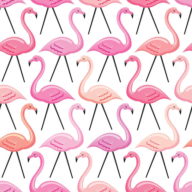 illustrazioni stock, clip art, cartoni animati e icone di tendenza di flamingo pattern senza bordi - plastic flamingo