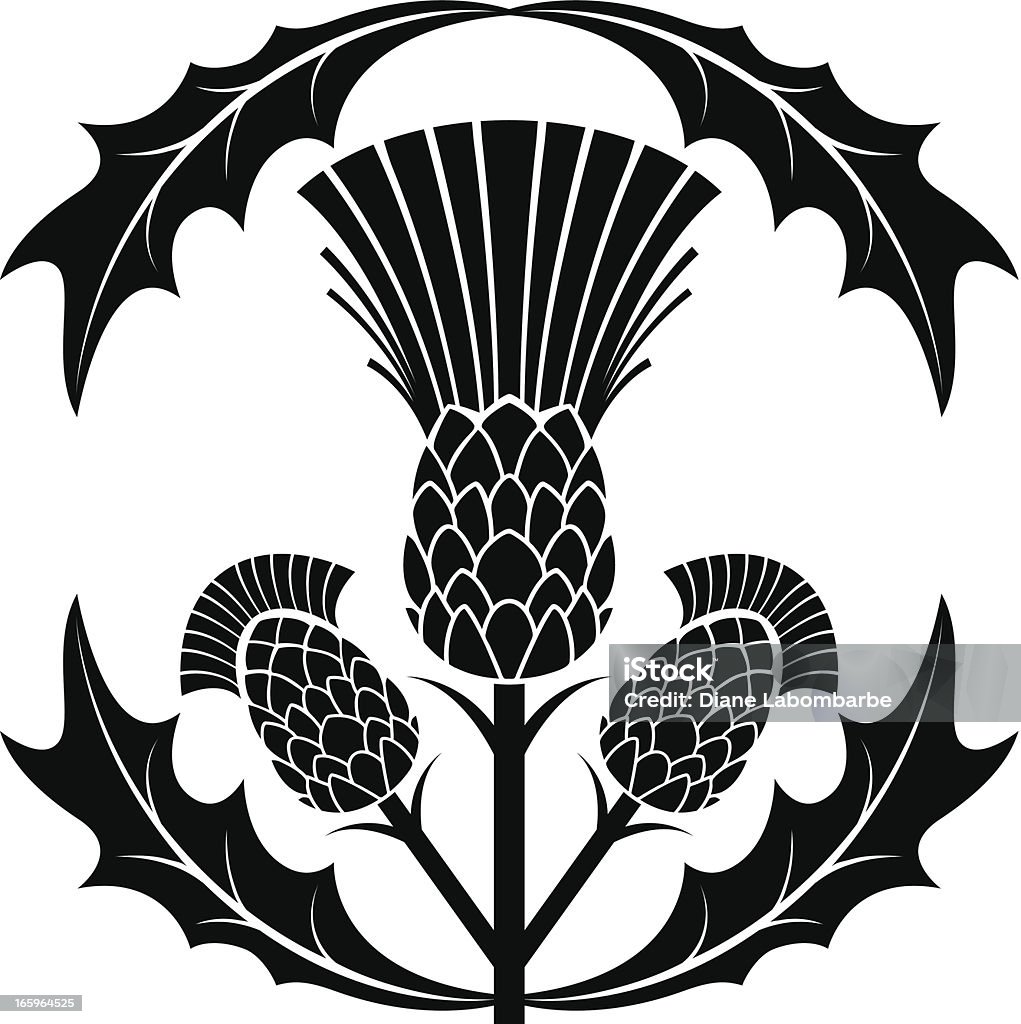 Silhouette di illustrazione vettoriale semplice Cardo - arte vettoriale royalty-free di Cardo - Famiglia delle margherite