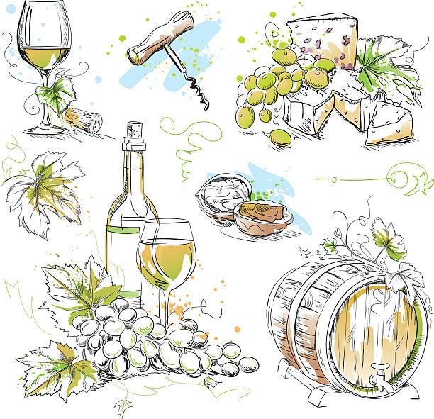 White Wine Tasting Drawings Set of hand-drawn vector wine Still Lifes in pen/ink & watercolor style.  cheese drawings stock illustrations