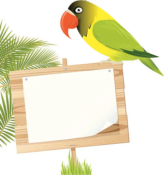 Vector illustration of Parrot