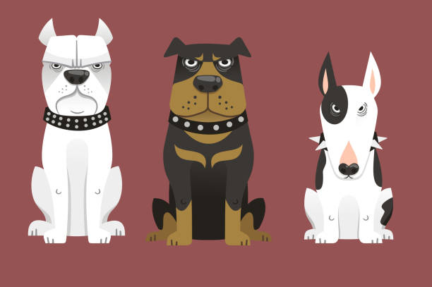 illustrations, cliparts, dessins animés et icônes de chien de garde ensemble - strengh