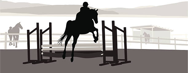 ilustrações de stock, clip art, desenhos animados e ícones de showjumping - hurdling hurdle vector silhouette