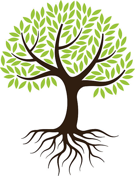 illustrazioni stock, clip art, cartoni animati e icone di tendenza di piccolo illustrazione di albero con radici. - roots