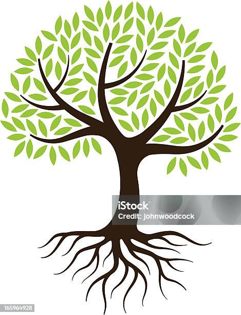 Pequena Ilustração De Árvore Com Raízes - Arte vetorial de stock e mais imagens de Árvore - Árvore, Raiz, Vetor