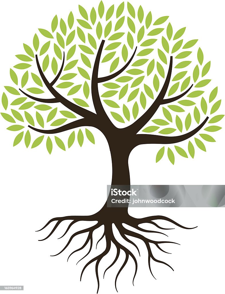 Little tree illustration with roots. A little graphic tree with roots, on 3 layers so easy to edit, roots and trunk on separate layers so the roots are easy to remove if not required. Tree stock vector