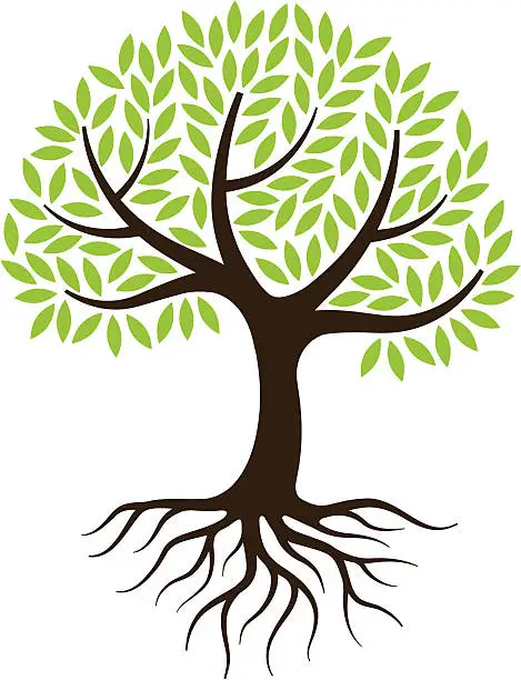 Vector illustration of Little tree illustration with roots.