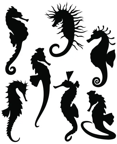 Vector illustration of Sea horse silhouettes