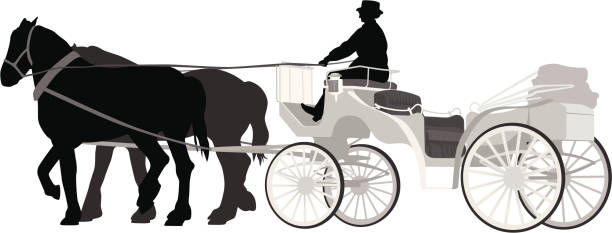 ilustraciones, imágenes clip art, dibujos animados e iconos de stock de horsedcarriage - focus on shadow outdoors women one person