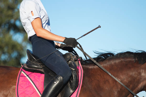 istock Dressage detail 1659662750