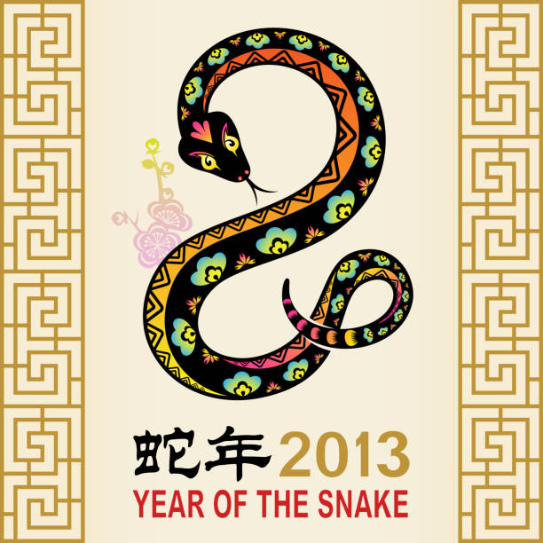 해 스네이크 - china chinese culture chinese script 2013 stock illustrations