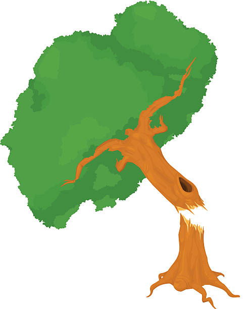 illustrazioni stock, clip art, cartoni animati e icone di tendenza di cubi icona di albero - tree broken branch dividing