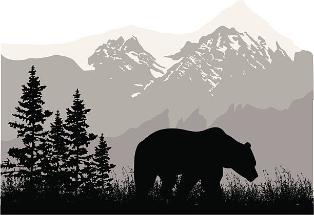 stockillustraties, clipart, cartoons en iconen met grizzly mountains - beer