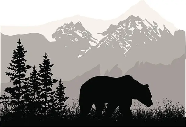 Vector illustration of Grizzly Mountains