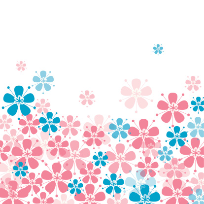 A vector illustration to show cherry blossom background