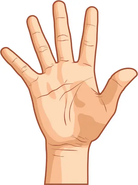 Vector illustration of Hand Gesture Number Five