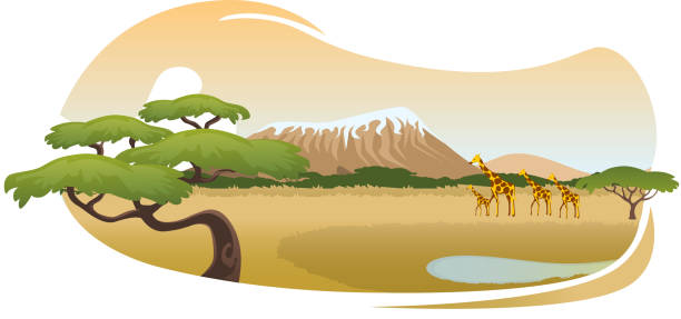 ilustraciones, imágenes clip art, dibujos animados e iconos de stock de african de savannah - grass nature dry tall