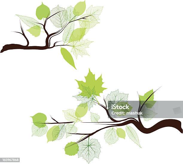 Frühjahr Filialen Stock Vektor Art und mehr Bilder von Ast - Pflanzenbestandteil - Ast - Pflanzenbestandteil, Baum, Baumrinde