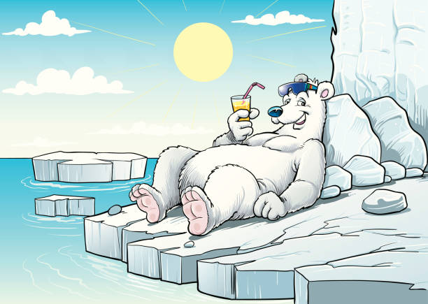 Polar bear Illustration of polar bear. bear with glasses stock illustrations