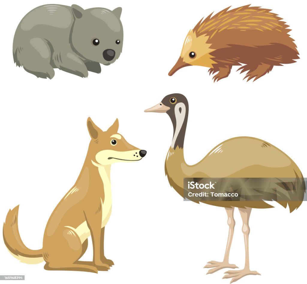 Quatro Animais australianos conjunto 2 - Vetor de Austrália royalty-free