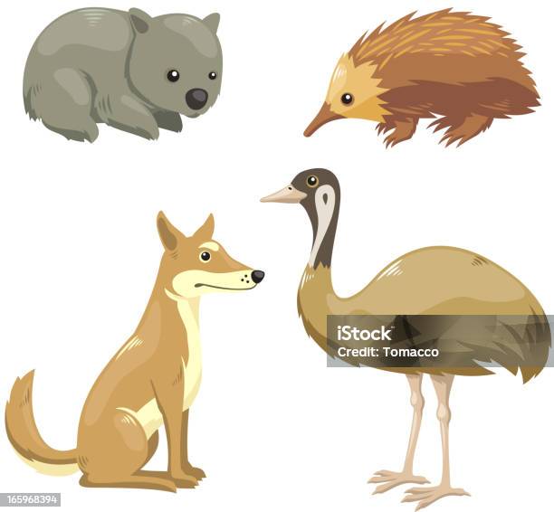 Vetores de Quatro Animais Australianos Conjunto 2 e mais imagens de Austrália - Austrália, Animal, Temas de animais