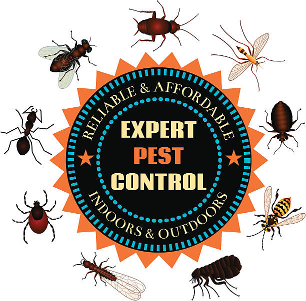 expert pest control Vector illustrations of pest insects that are controlled by an exterminator. Clockwise from top: cockroach, mosquito, bed bug, yellow jacket, flea, termite, tick, ant, fly. longhorn beetle stock illustrations