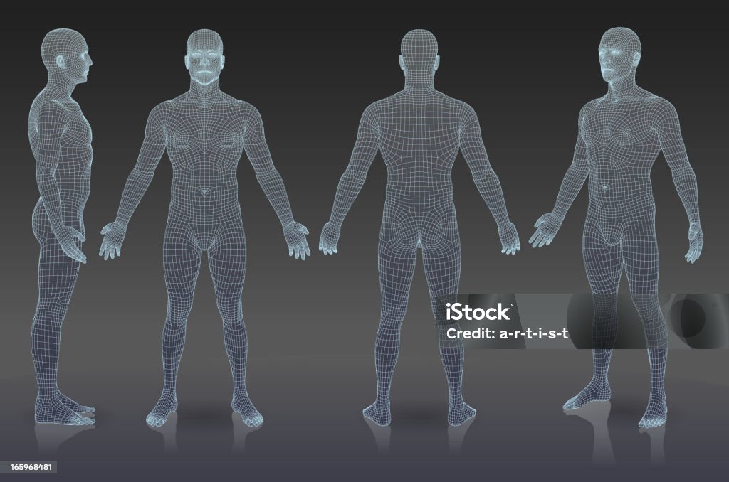 Набор Трехмерная человек. - Векторная графика Человеческое тело роялти-фри