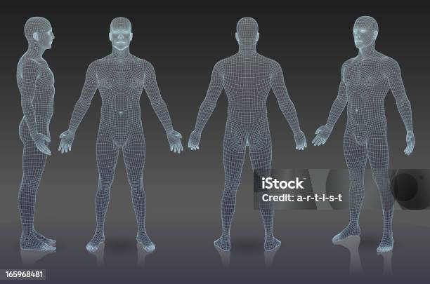 Набор Трехмерная Человек — стоковая векторная графика и другие изображения на тему Человеческое тело - Человеческое тело, Трёхразмерный, Анатомия